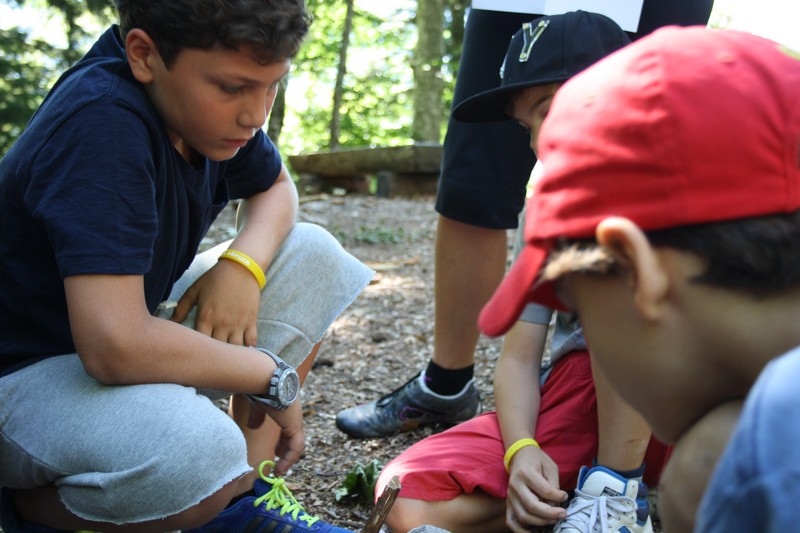Village Camps International Summer Camp Leysin, Switzerland 2025-08-09 https://www.villagecamps.com/journals_admin/images/709-43-nature (50).jpg